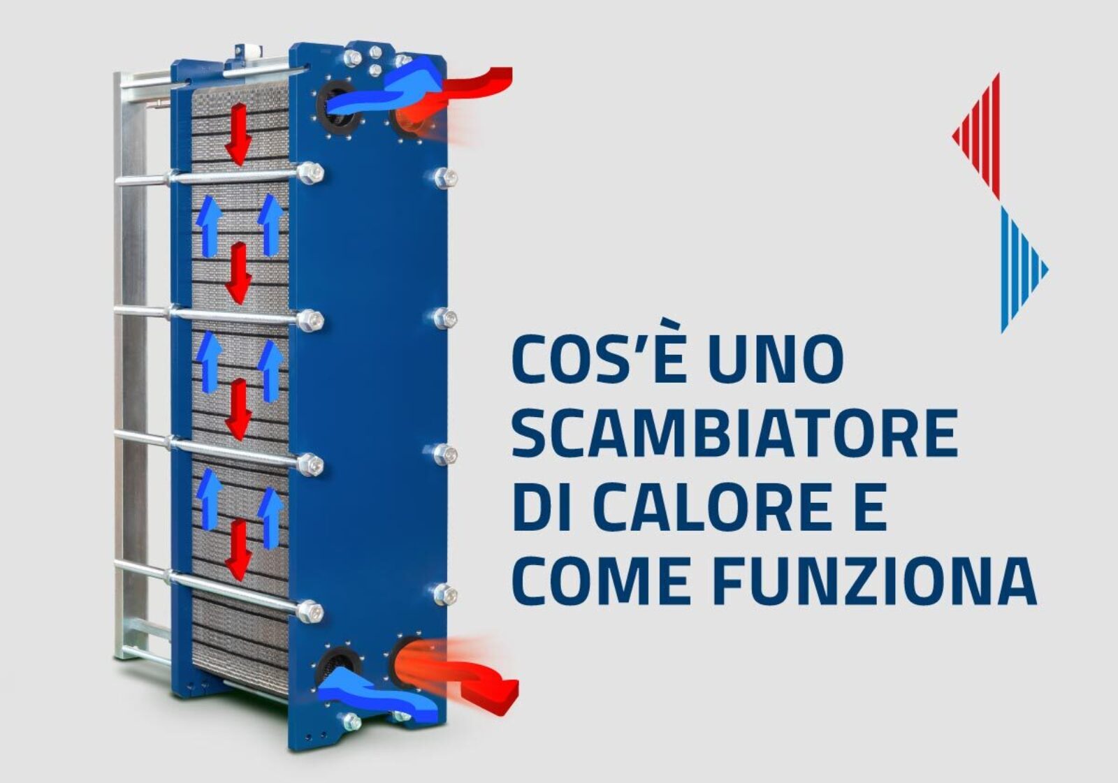 Cipriani phe news novembre rev4