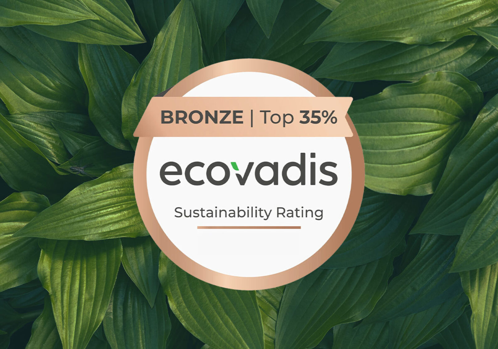 Cipriani phe NEWS ECOVADIS